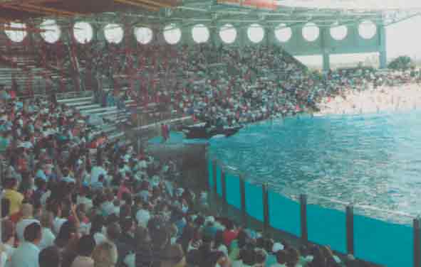 Foto Parque SeaWorld - Orlando