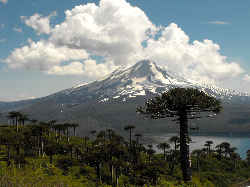 Foto Parque Nacional Lauca